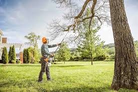 Best Lawn Renovation and Restoration  in Rupert, ID
