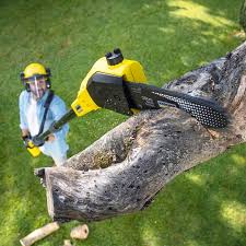Best Lawn Drainage Solutions  in Rupert, ID