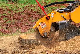Best Aeration Services  in Rupert, ID